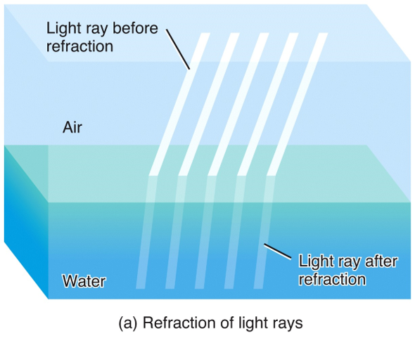 Reflection of light rays