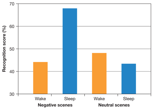 Sleep and Consolidation in Memory