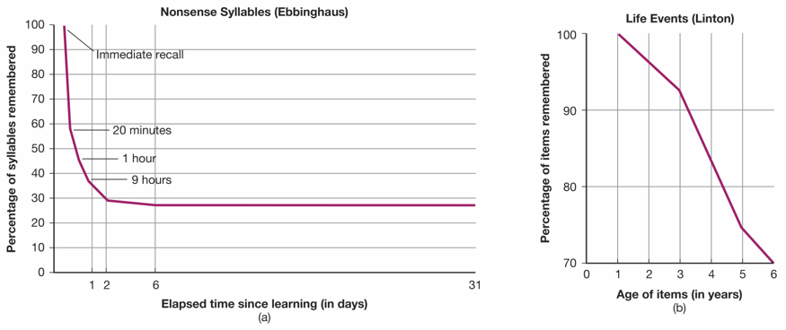 Two Kinds of Forgetting Curves