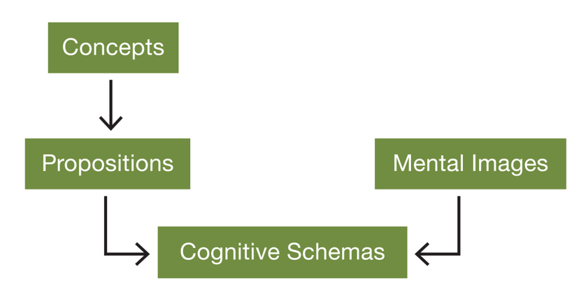 The Elements of Cognition 