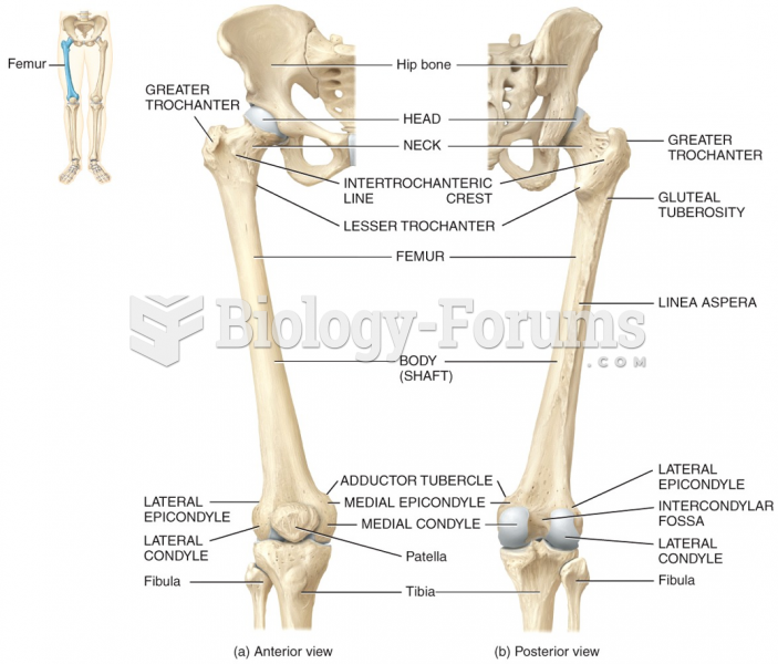 Anterior & Posterior View of Lower Limb (Extremity)