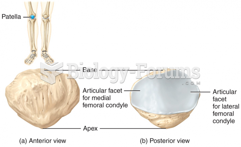 Anterior & posterior of patella (kneecap)