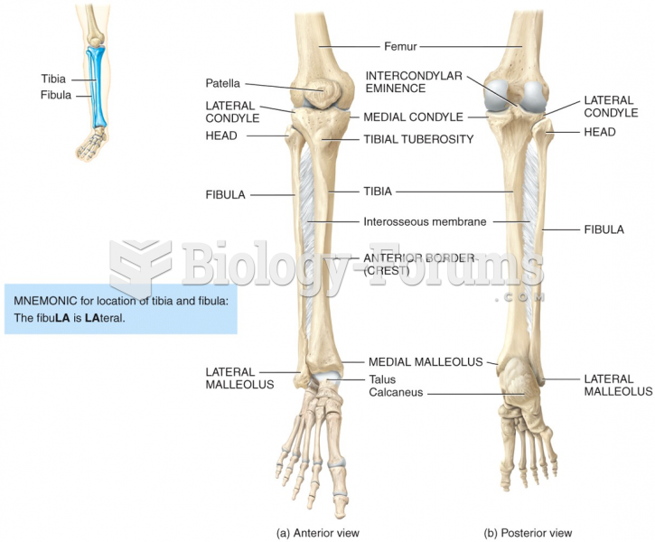 Anterior & posterior view of the tibia (shinbone) and the fibula