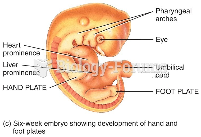 Six-week embryo showing development of hand and foot plates