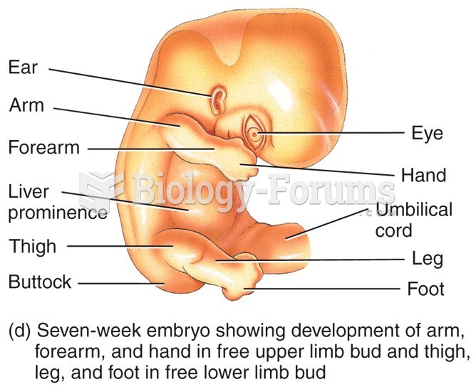 Seven-week embryo showing development of arm, forearm, and hand