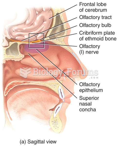 Sagittal view of the olfaction (Sense of Smell)