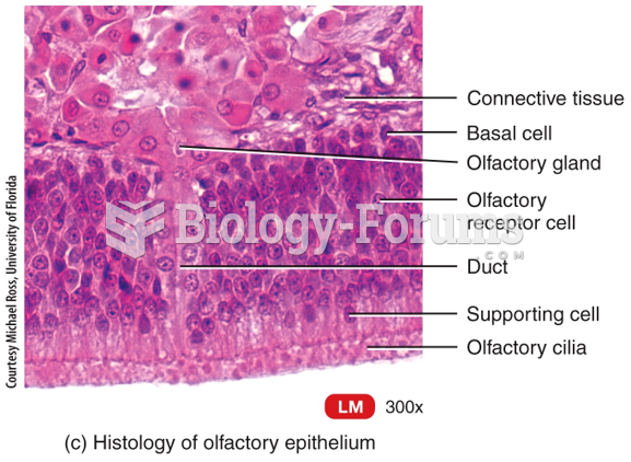 Histology of olfactory epithelium