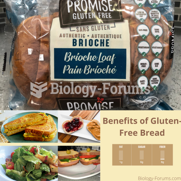 Promise Gluten Free Bread