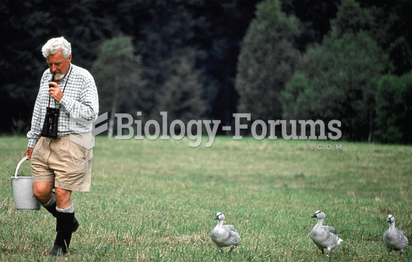 Geese continued to follow a human around assuming their actual mothers