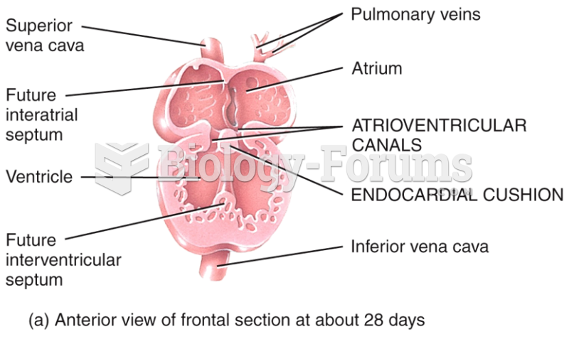 Development of the Heart