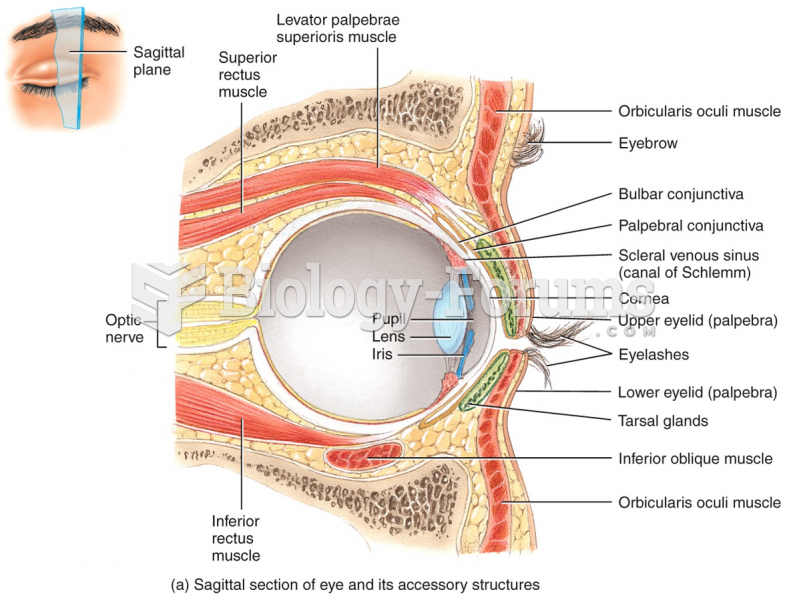 Sagittal section of eye and its accessory structures