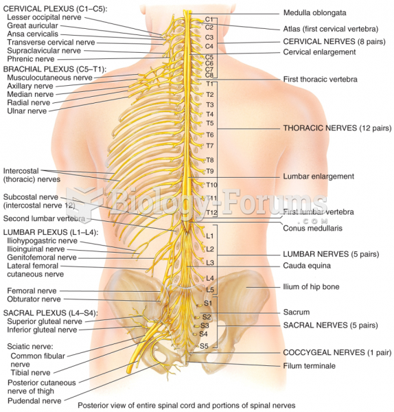 External Anatomy of the Spinal Cord