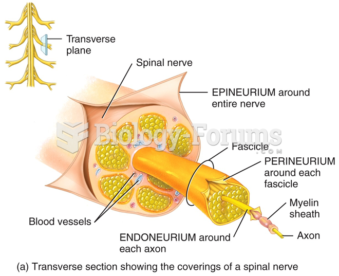 Connective Tissue Covering of Spinal Nerves
