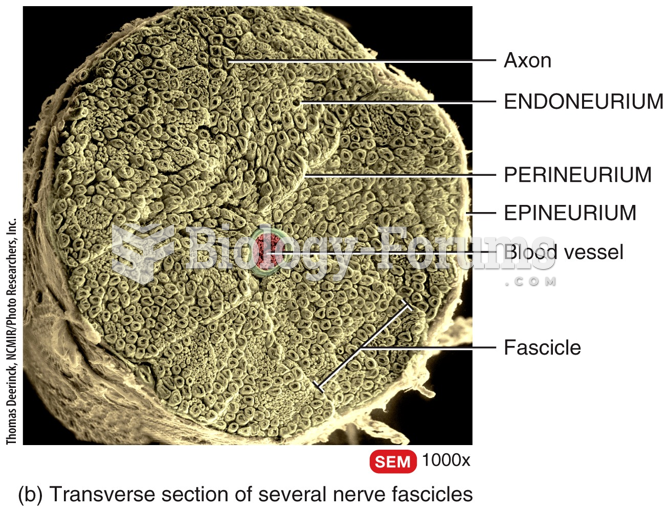 Connective Tissue Covering of Spinal Nerves