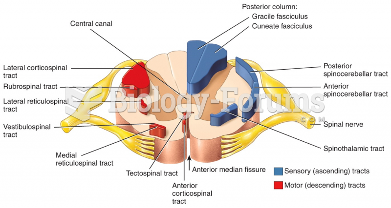 Sensory and Motor Tracts