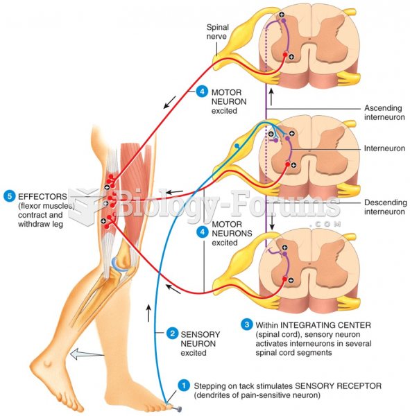 Flexor (Withdrawal) Reflex