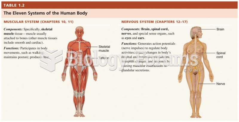 Systems of the Human Body