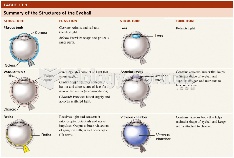 Summary of the Structures of the Eyeball