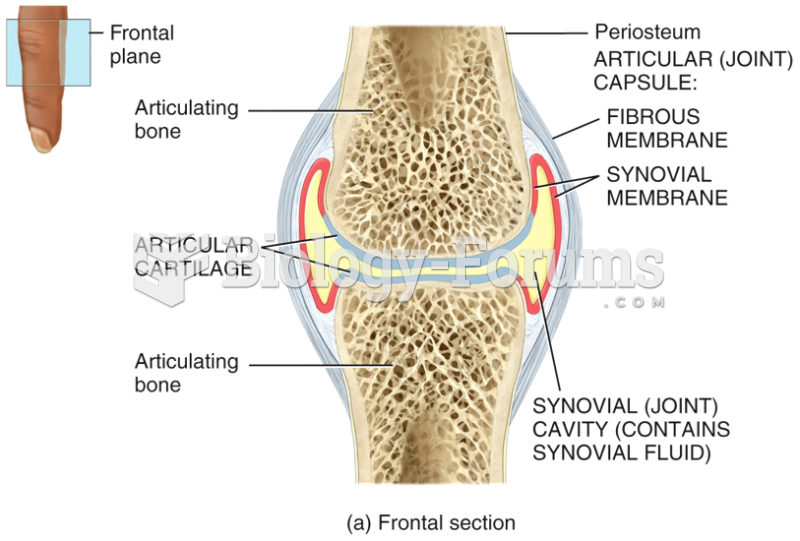 Structure of a Synovial Joint