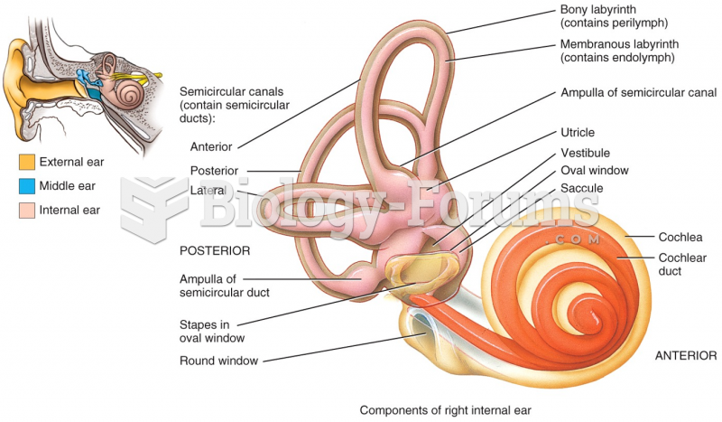 Component of right internal  ear