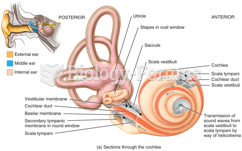 Sections through the cochlea