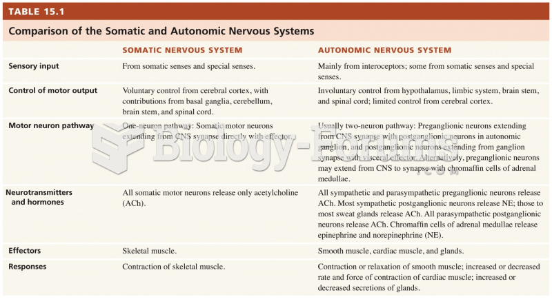 Comparison of Somatic and Autonomic Nervous Systems