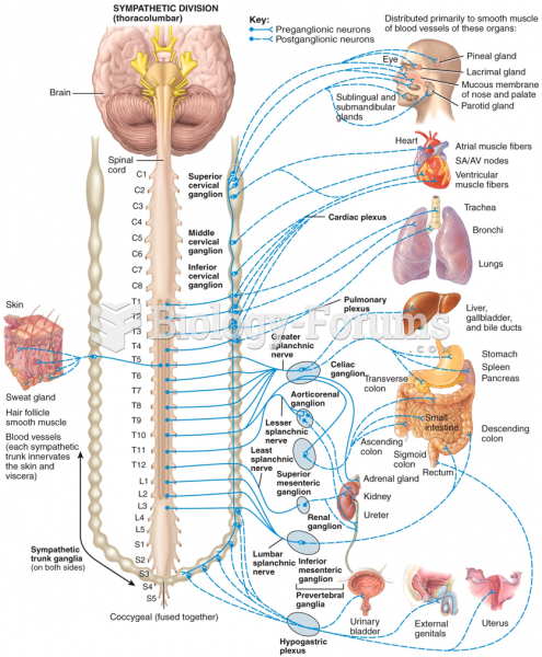 Anatomy of Autonomic Motor Pathways