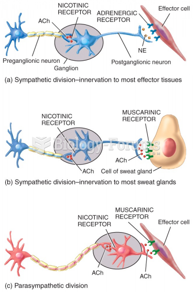 Sympathetic division—innervation to most effector tissues & Parasympathetic division 