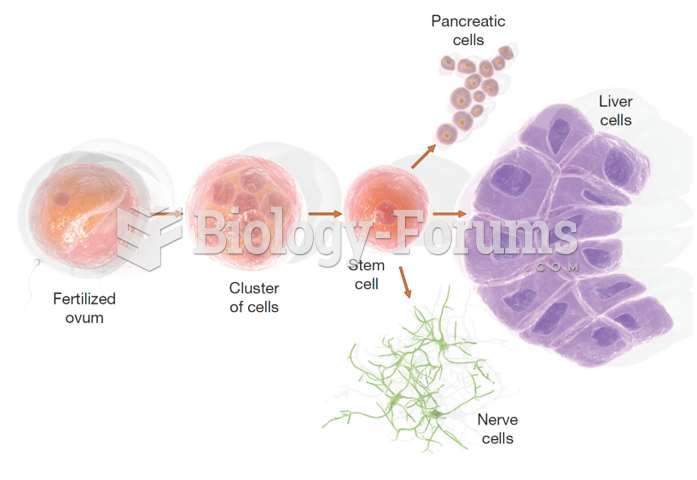 Stem Cell Production