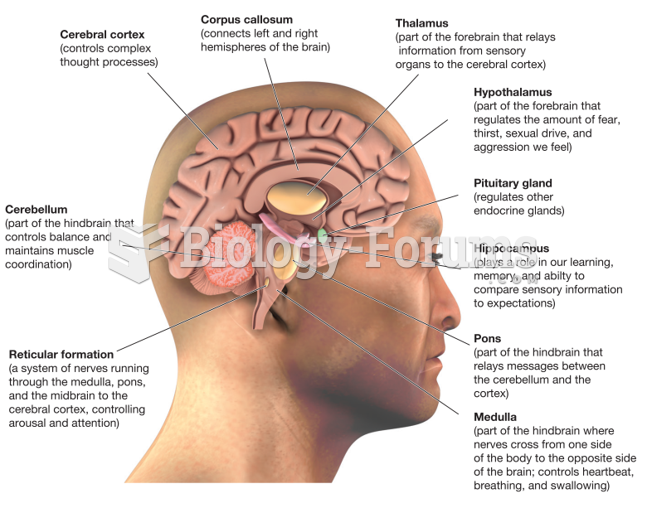 Major Structures of the Human Brain
