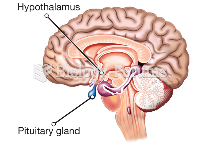 The Hypothalamus and Pituitary