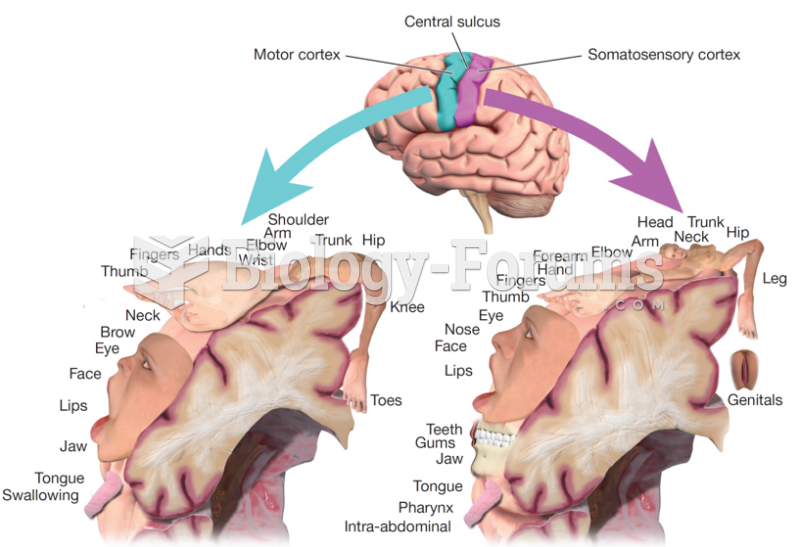 Sensory and Motor Homunculi