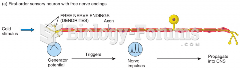 First-order sensory neuron with free nerve endings  