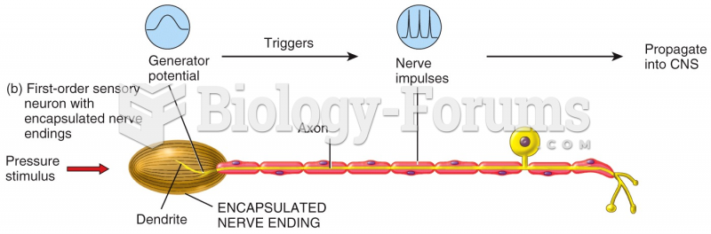 First-order sensory neuron with encapsulated nerve endings 