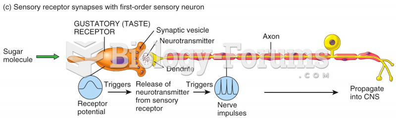 Sensory receptor synapses with first-order sensory neuron 