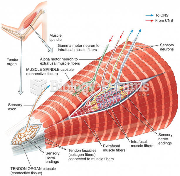 Types of proprioceptors: Muscle Spindles and Tendon Organs