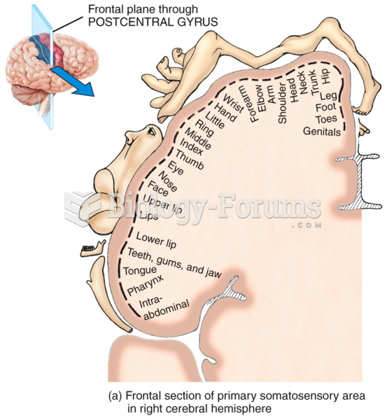 Frontal section of primary somatosensory area in right cerebral hemisphere 