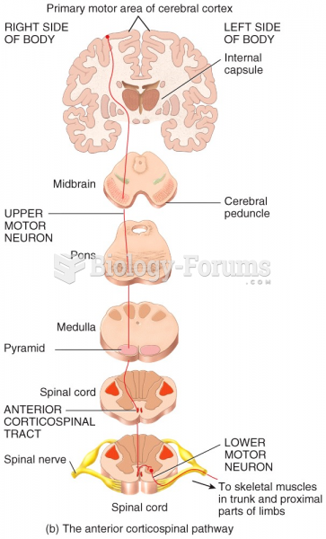 The anterior corticospinal pathway 