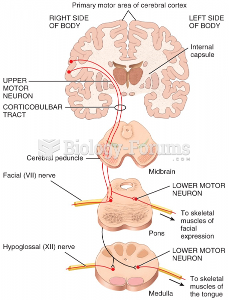 Primary motor area of cerebral cortex