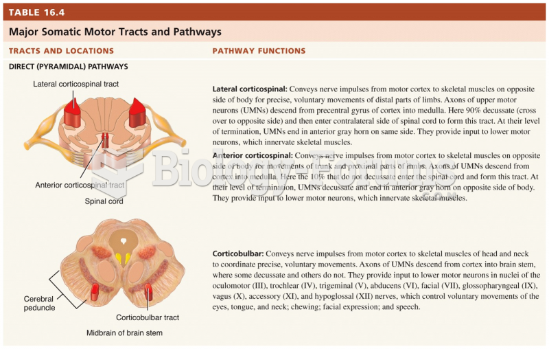 Major Somatic Motor Tracts and Pathways