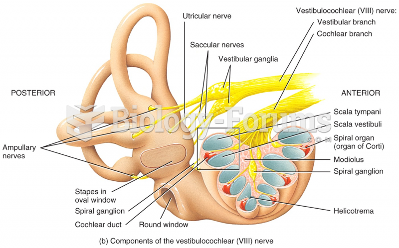 Components of the vestibulocochlear (VIII) nerve 