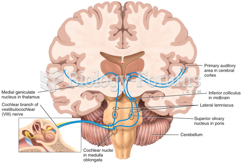 The cochlear nerve fibers: The vestibulocochlear (VIII) nerve