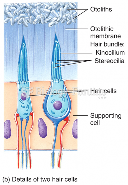 Details of two hair cells 
