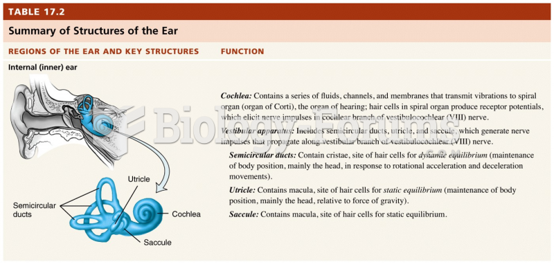 Summary of Structures of the Ear 