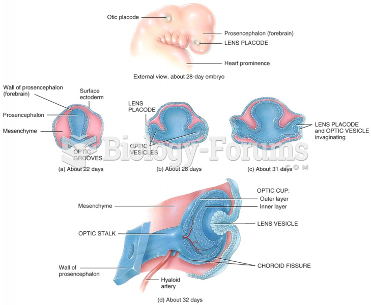 Development of the Eyes and Ears: External View - 28 days Embryo 