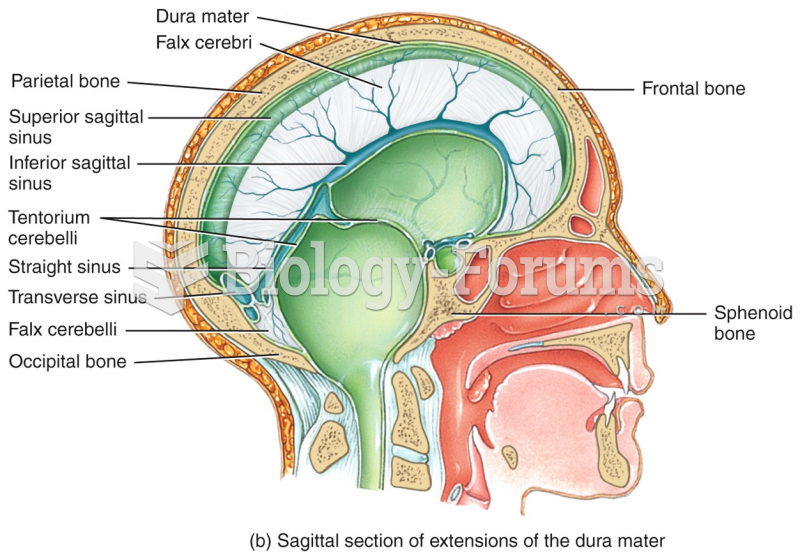 Extensions of the Dura Mater
