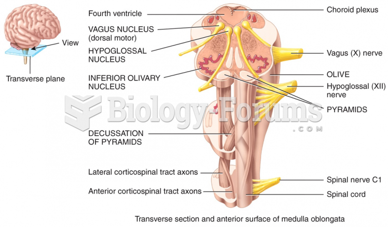 Transverse section and anterior surface of medulla oblongata 