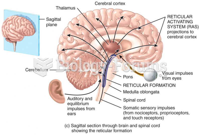 Sagittal section through brain and spinal cord showing the reticular formation