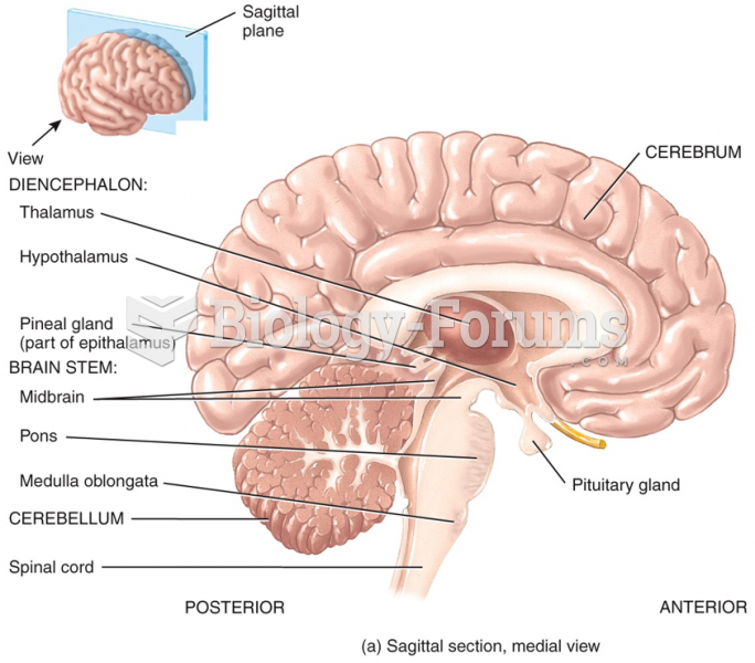 Diencephalon: Sagittal section, medial view
