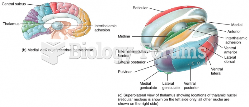 Medial view of left cerebral hemisphere & Superolateral view of thalamus